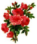 redflowers.gif